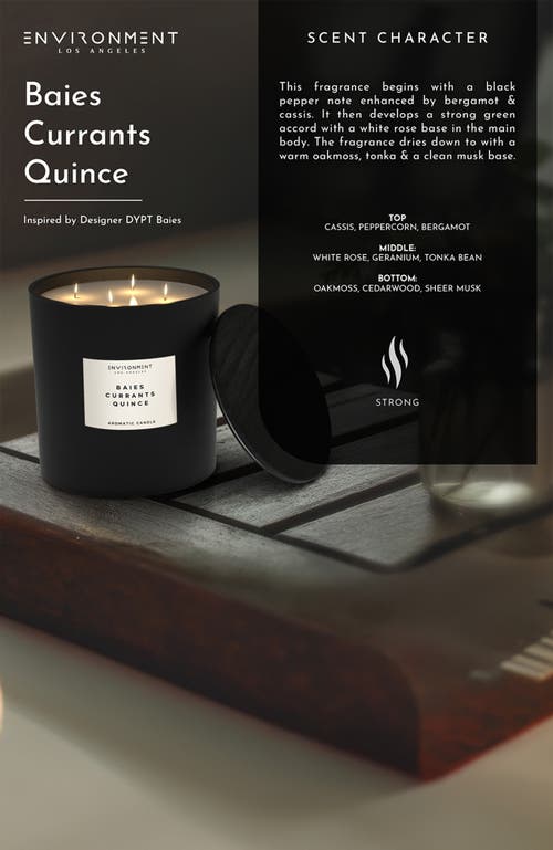 Environment Inspired By Designer Perfume Candle In Black