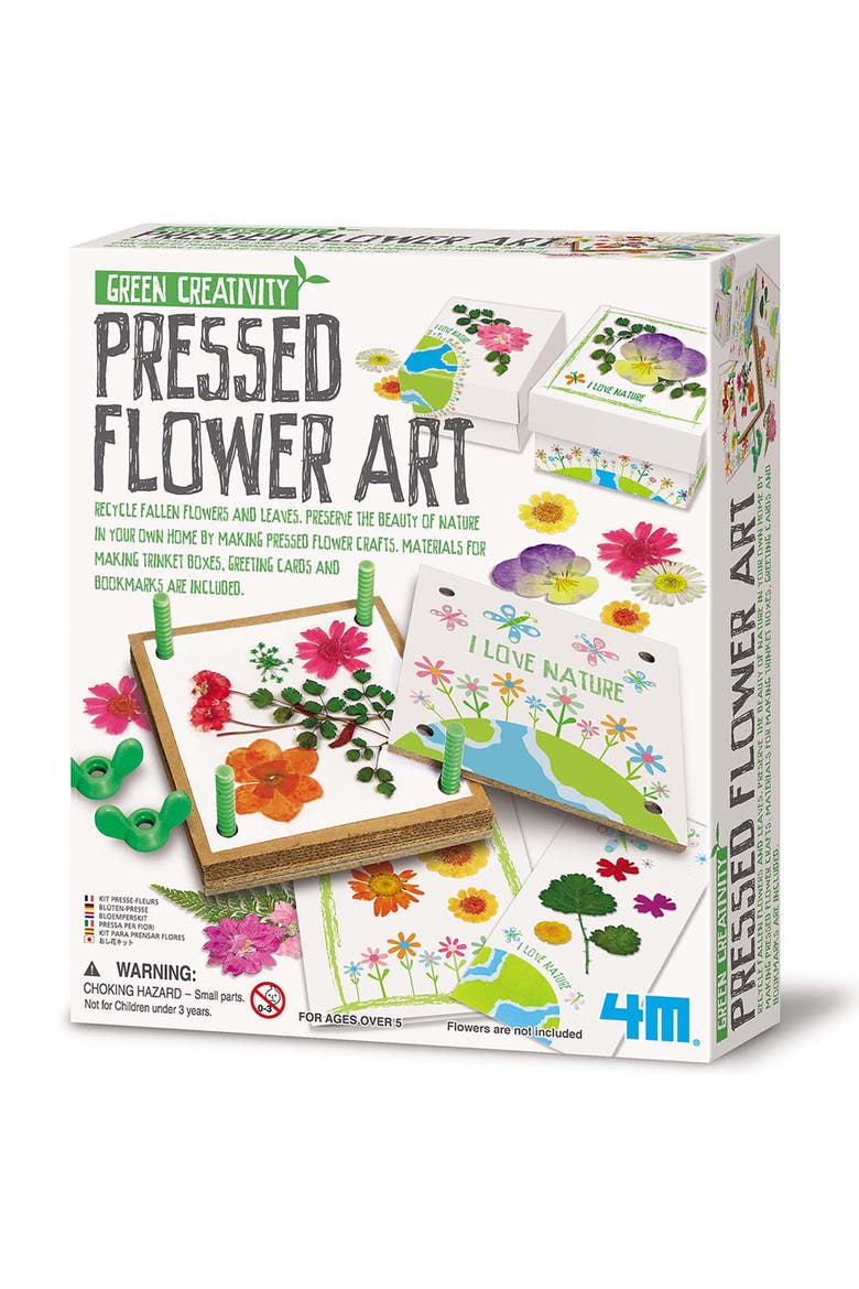 Green Creativity Pressed Flower Art Diy, Main, color, Multicolored