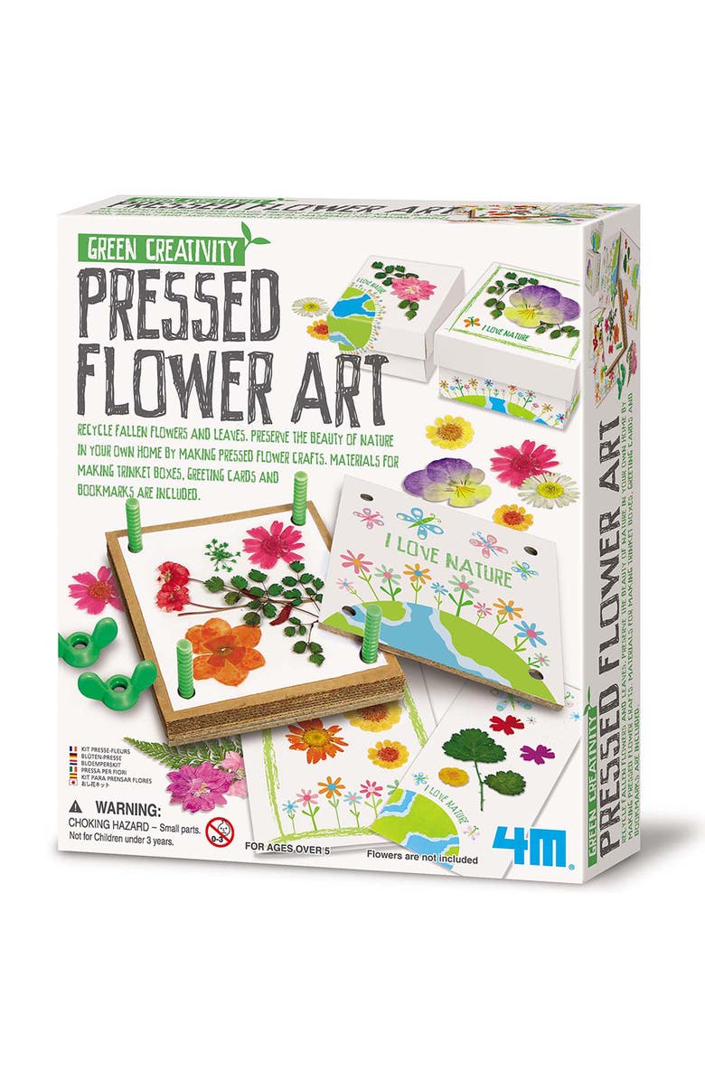 4M Green Creativity Pressed Flower Art Diy, Main, color, Multicolored