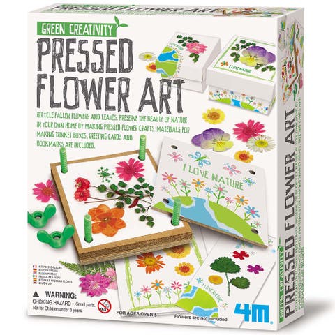 Green Creativity Pressed Flower Art Diy