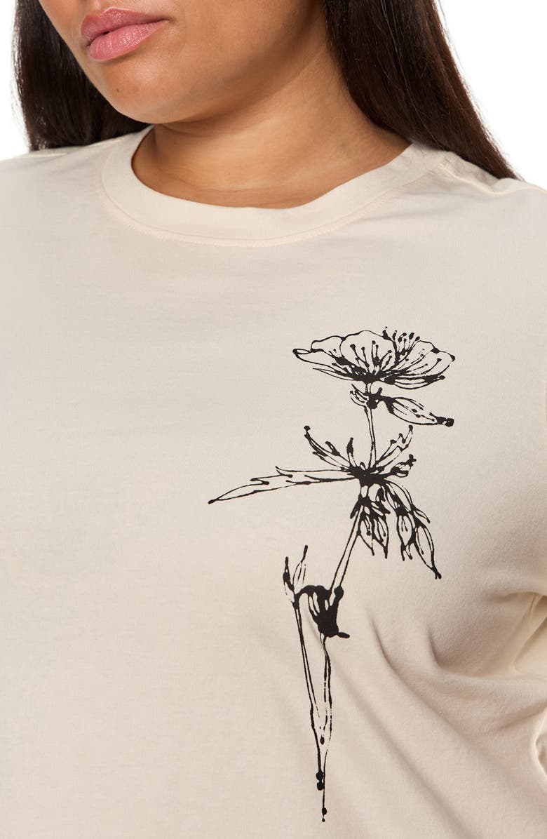 Sanctuary Timeless Dandelion Graphic Organic Cotton T-Shirt, Alternate, color, Collagen White/ Dandelion