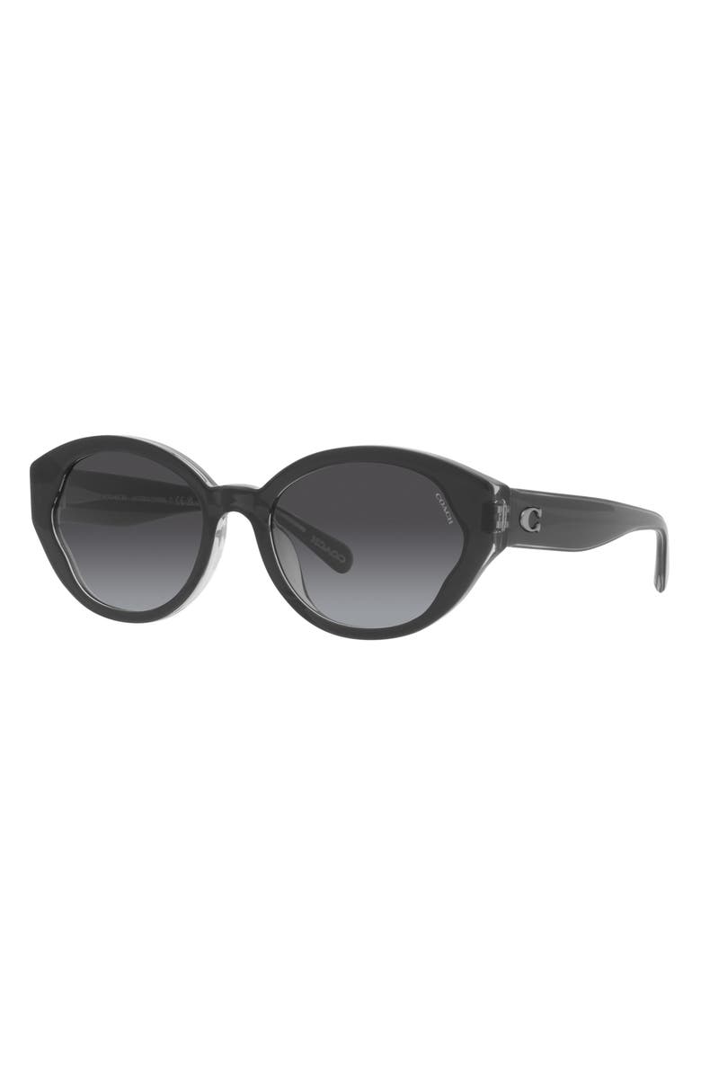 COACH 55mm Gradient Oval Sunglasses, Alternate, color, 