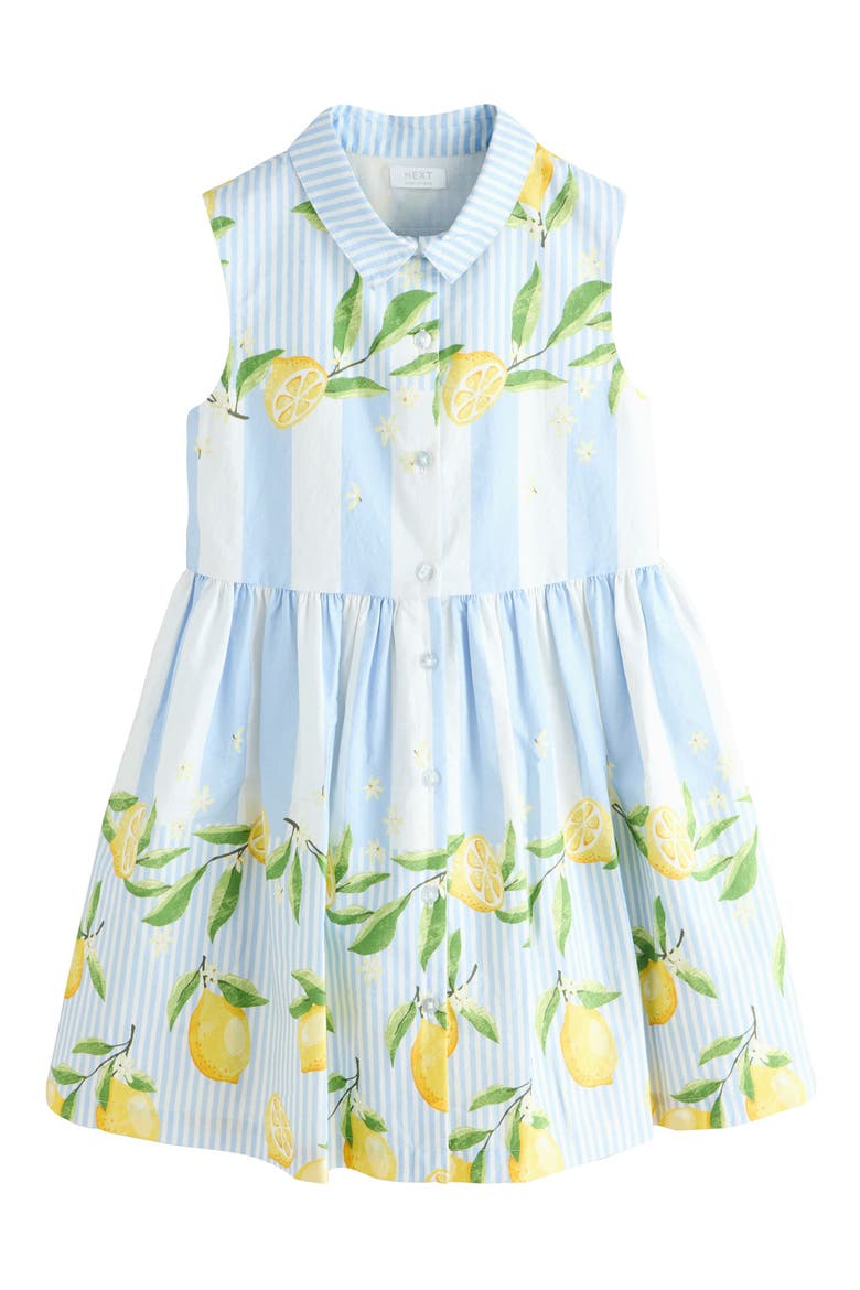 Stripe Lemon Print Cotton Shirtdress, Main, color, BLUE