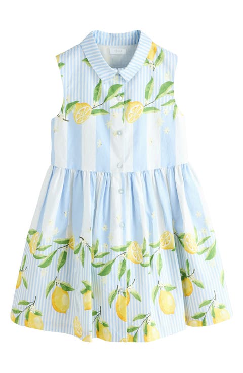 Stripe Lemon Print Cotton Shirtdress