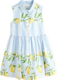 NEXT Stripe Lemon Print Cotton Shirtdress