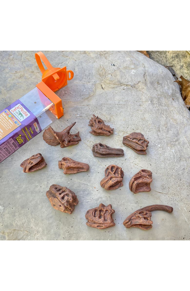 Safari Ltd. Dinosaur Skulls Toy, Alternate, color, NO COLOR