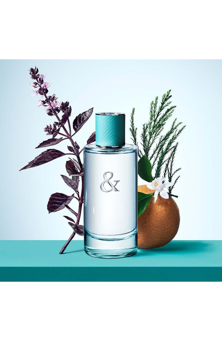Tiffany & Co. Tiffany & Love Eau de Parfum for Her Gift Set $196 Value, Alternate, color, 