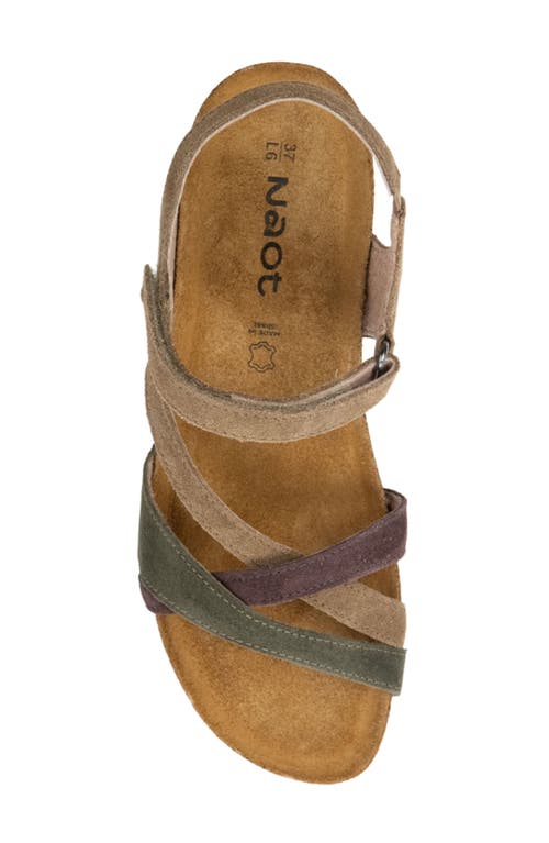 Naot 'sophia' Sandal