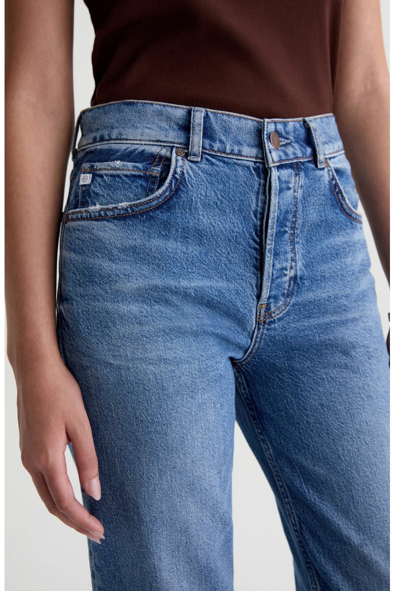 Sydney High Waist Straight Leg Jeans, Alternate, color, ECHO