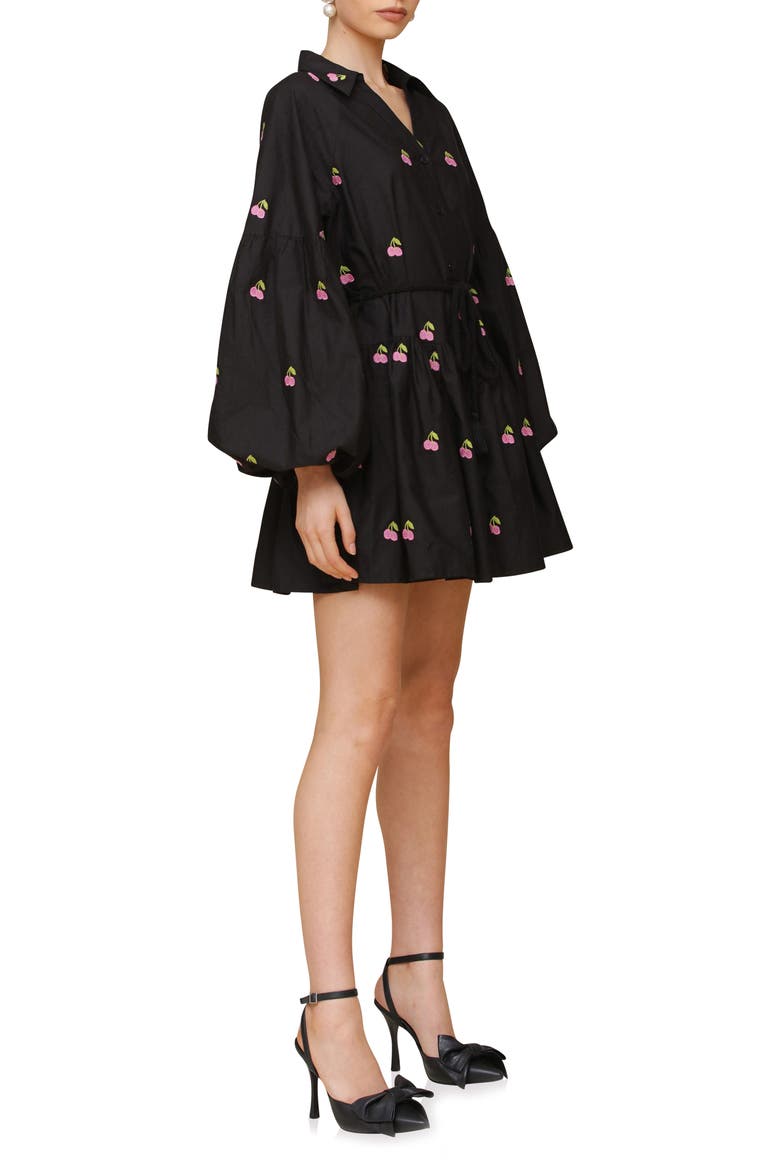 Embroidered Tie Waist Long Sleeve Minidress, Alternate, color, BLACK