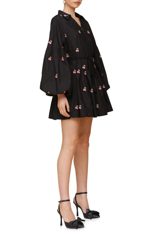 Avec Les Filles Embroidered Tie Waist Long Sleeve Minidress In Black