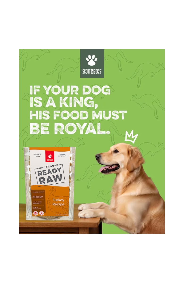Scout & Zoe's Chophouse Ready Raw, Turkey, 9 Dog Food Freeze Dried Patties, Alternate, color, Multicolored