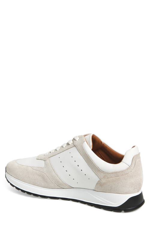 Allen Edmonds Everett Sneaker