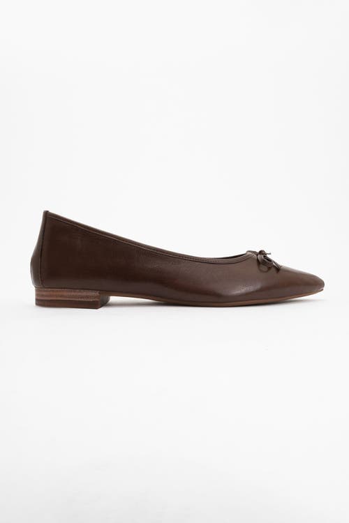 Forever & Always Shoes Ruby Leather Pointed Toe Flats In Brown Leather