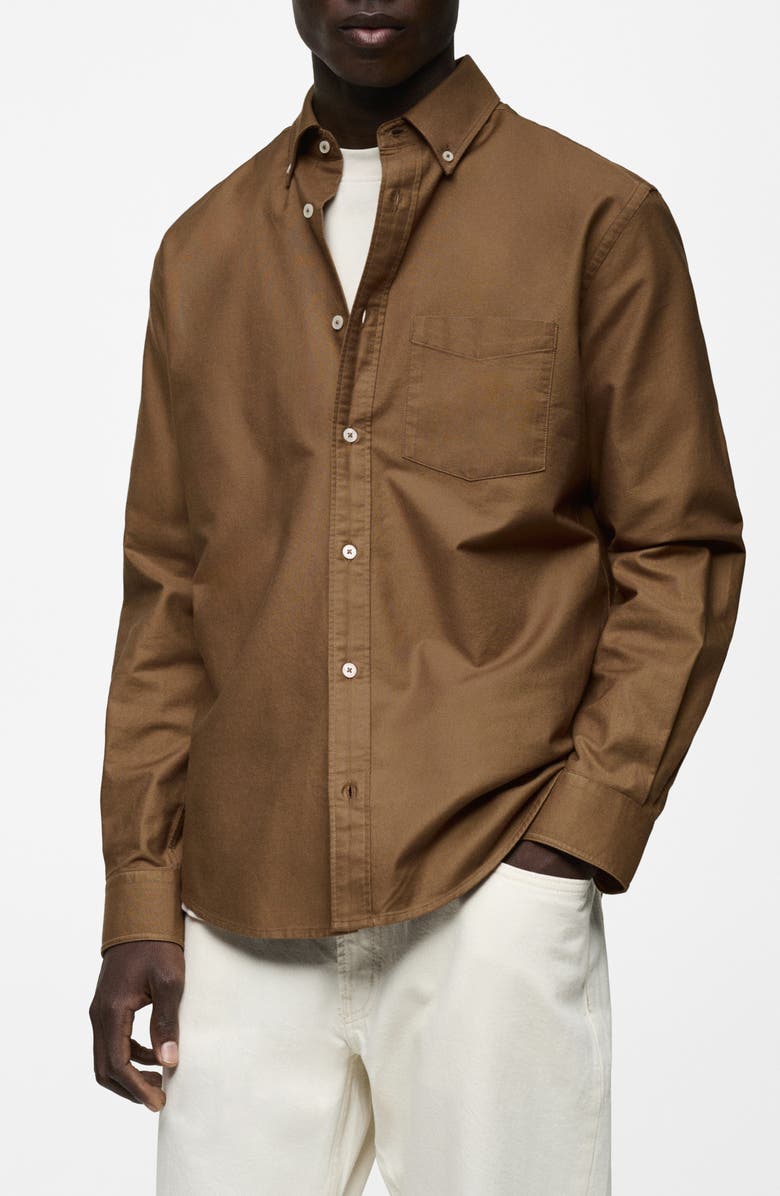 MANGO Cotton Oxford Button-Down Shirt, Main, color, Brown