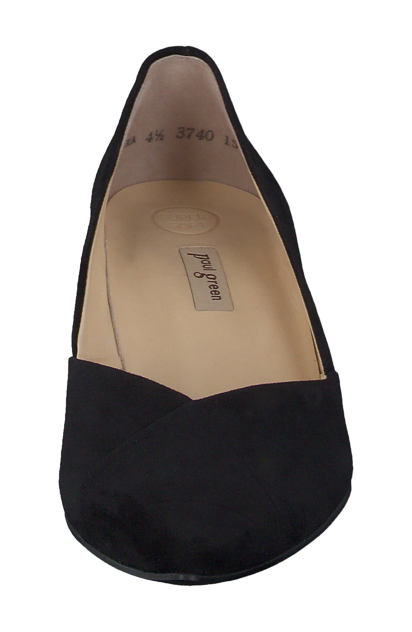 Rendi Pointed Toe Pump, Alternate, color, BLACK NATURE SUEDE