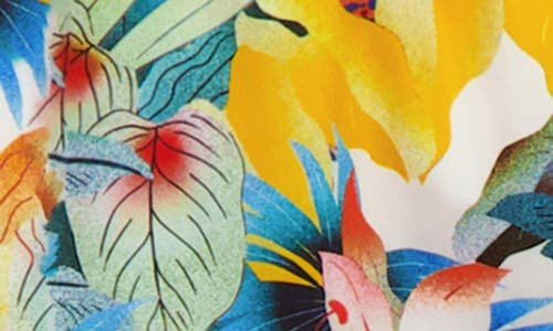 Shop Robert Graham Quickdry Boxer Board Shorts
