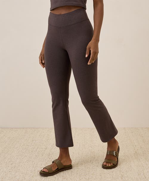 Pact On The Go-to Cropped Bootcut Legging Made With Organic Cotton In Chocolate Heather