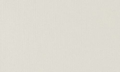 Tart Caralea Midi Skirt In White