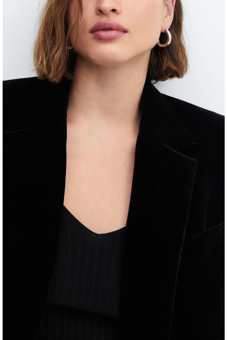 Velvet Blazer, Alternate, color, BLACK