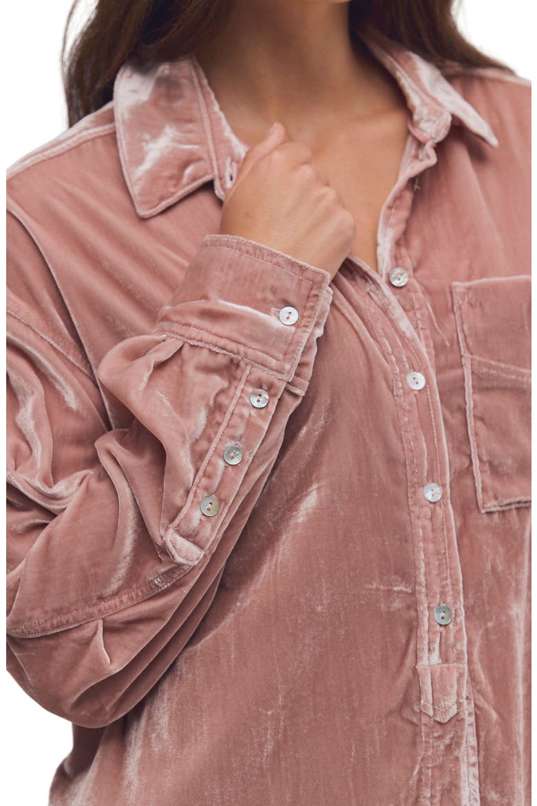Lexi Velvet Button Down Shirt, Alternate, color, DUSTY HIMALAYAN