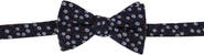 Ascentix Metallic Flowers and Leaves Bowtie