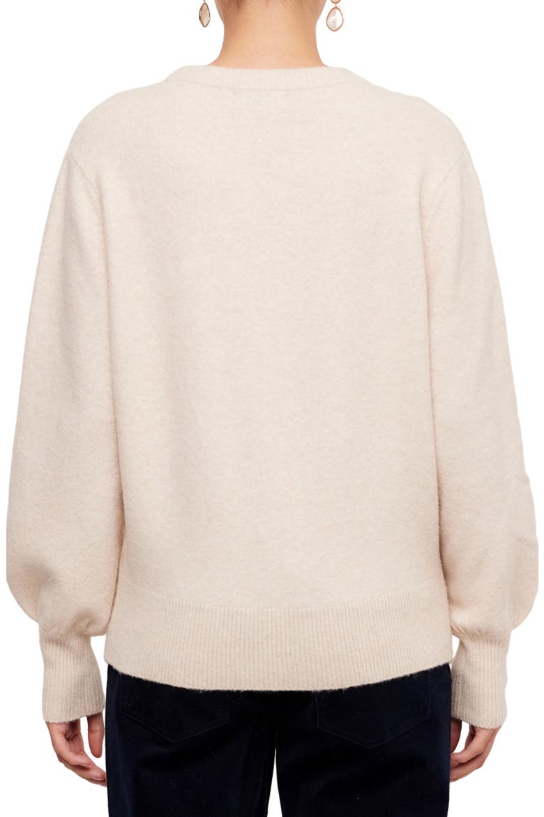 Embroidered Blouson Sleeve Sweater, Alternate, color, SAND