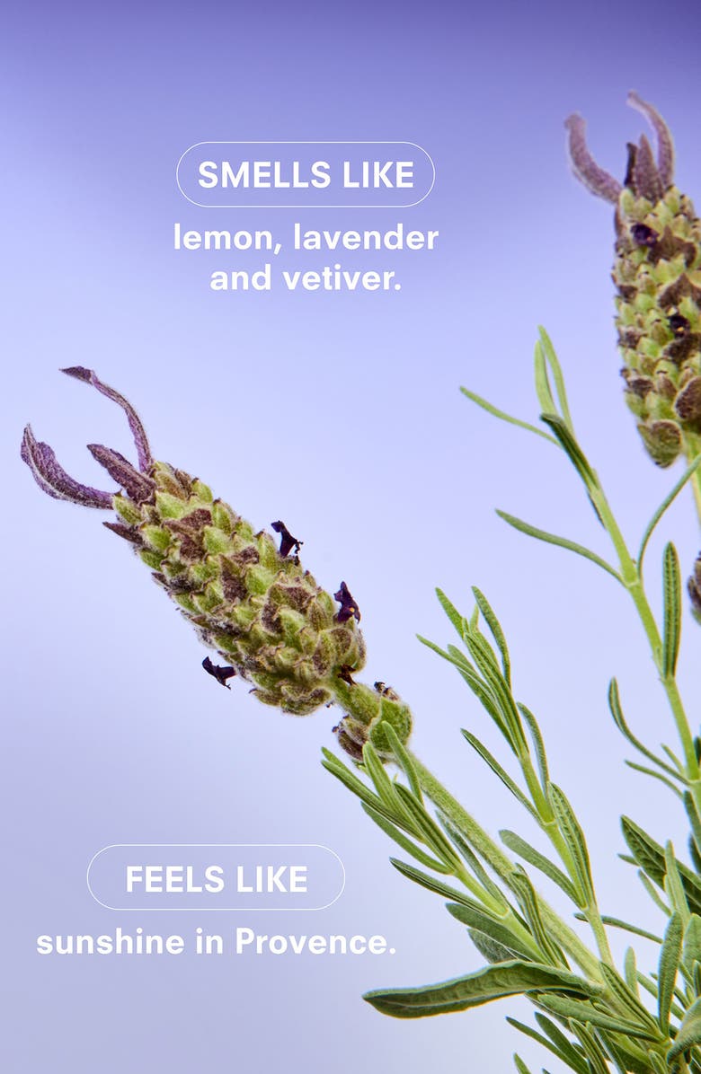 Boy Smells Lavendare Candle, Alternate, color,