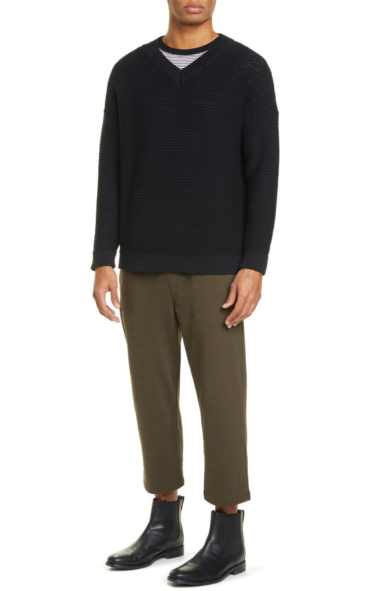 Eileen Fisher Organic Cotton Blend V-Neck Sweater, Alternate, color,