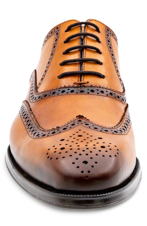 Mezlan Galco Wingtip Oxford In Brown