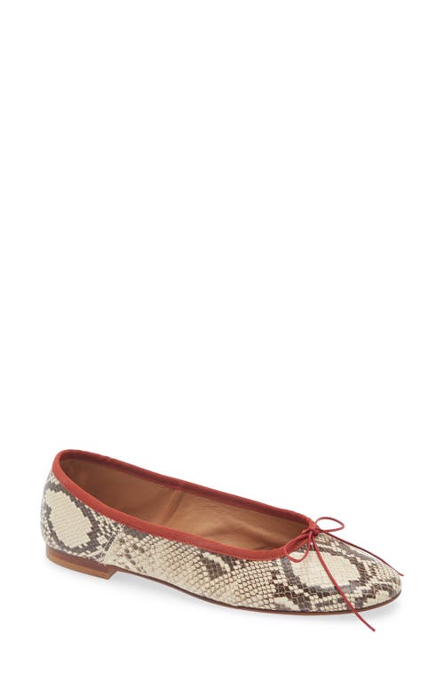 Mansur Gavriel Ballet Flat In Multi