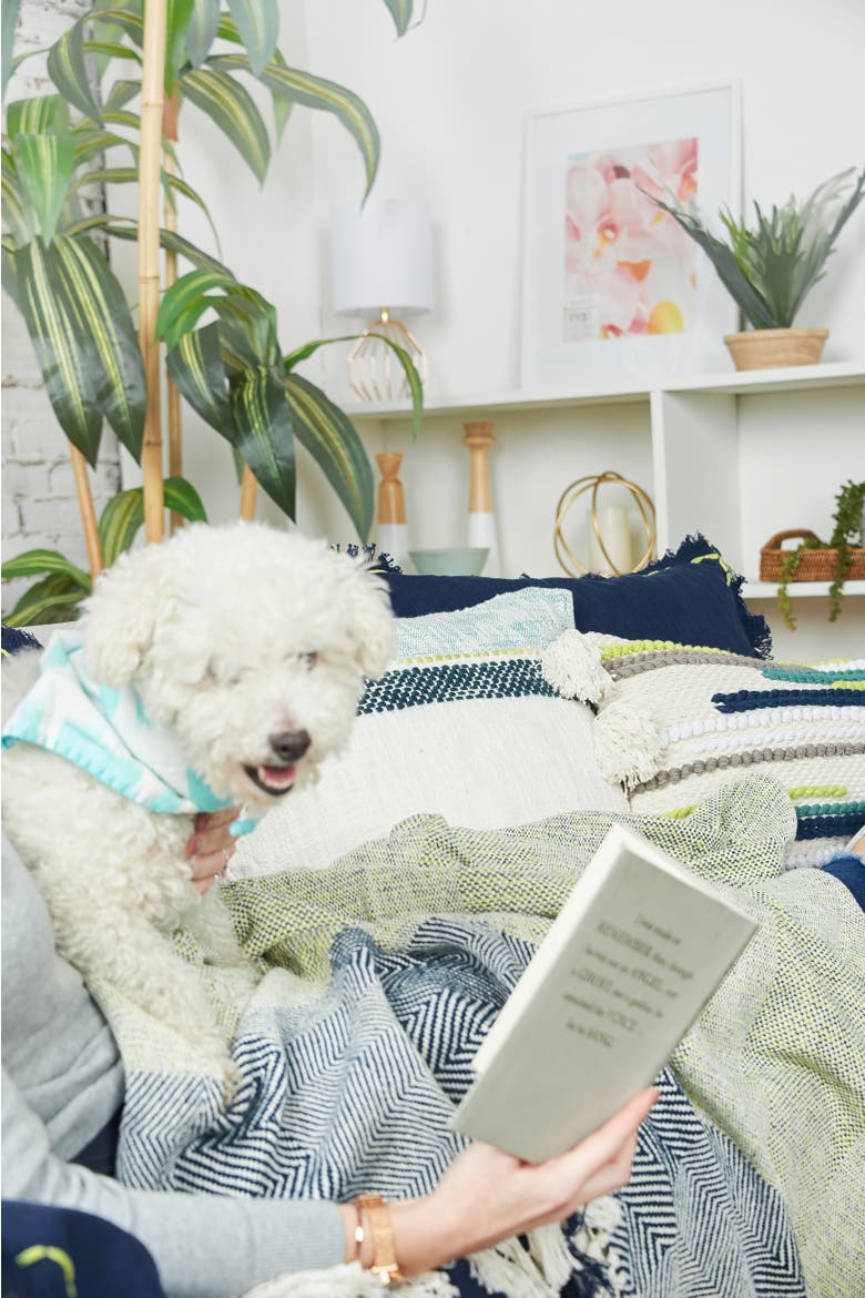 Jason Blue & Citron Green 100% Cotton Accent Throw Blanket 50" x 60", Alternate, color, Green