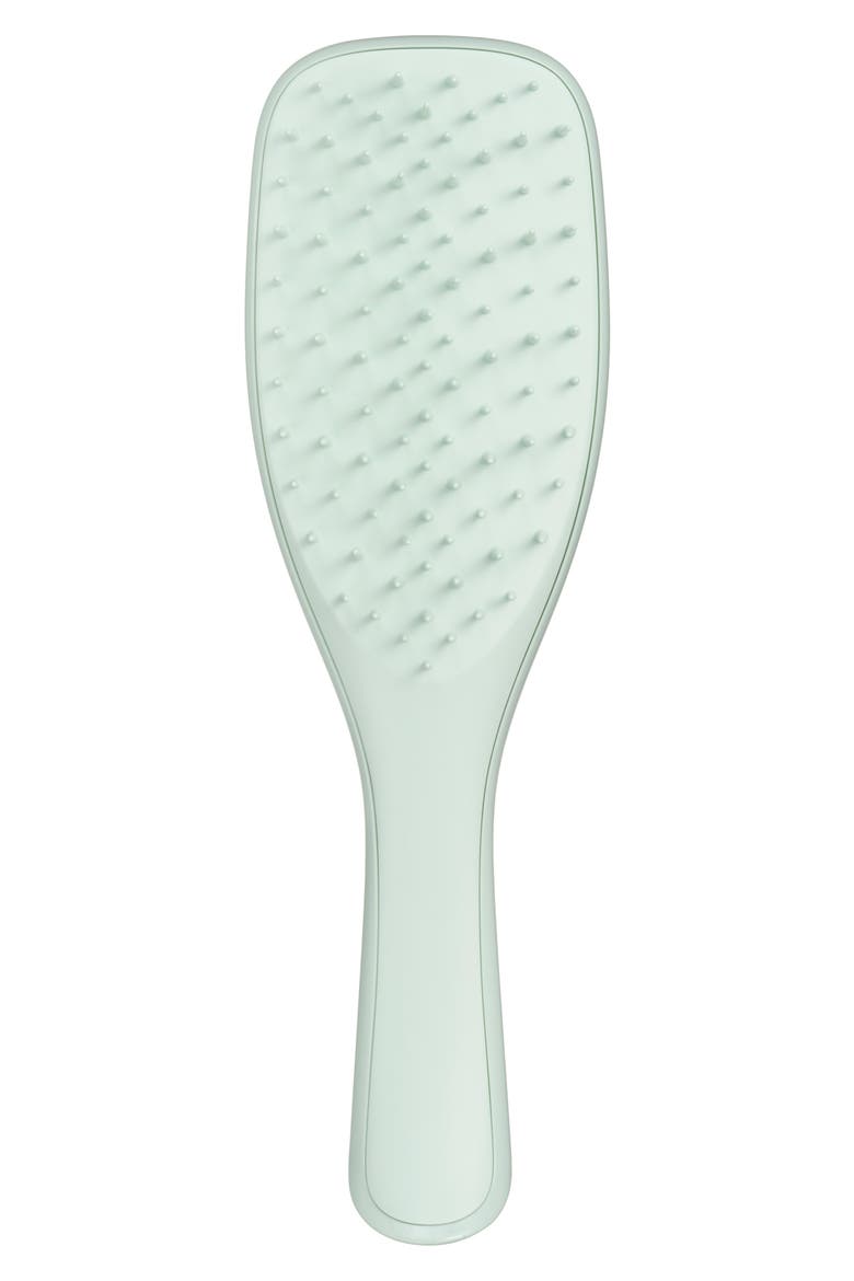 Ultimate Detangler Hairbrush - Extra Gentle, Main, color, EUCALYPTUS GREEN