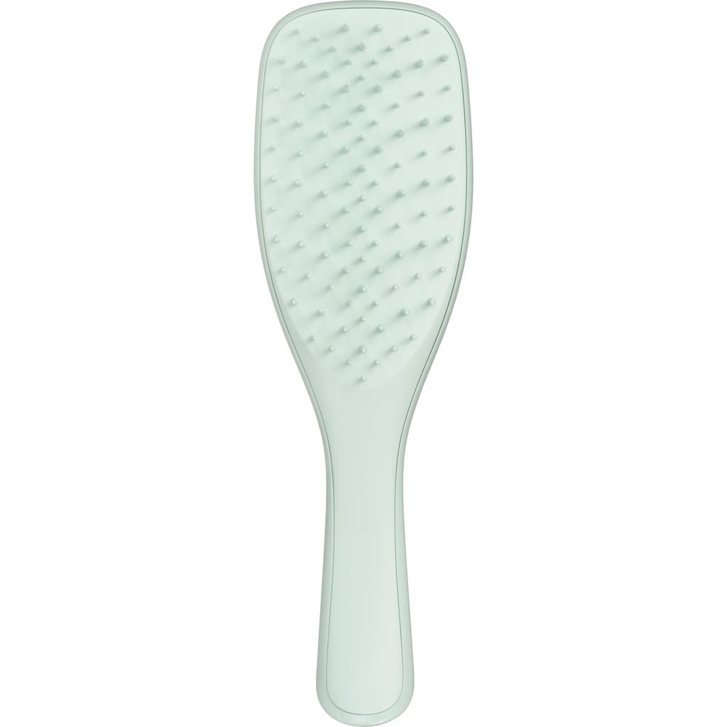 Tangle Teezer Ultimate Detangler Hairbrush In Green
