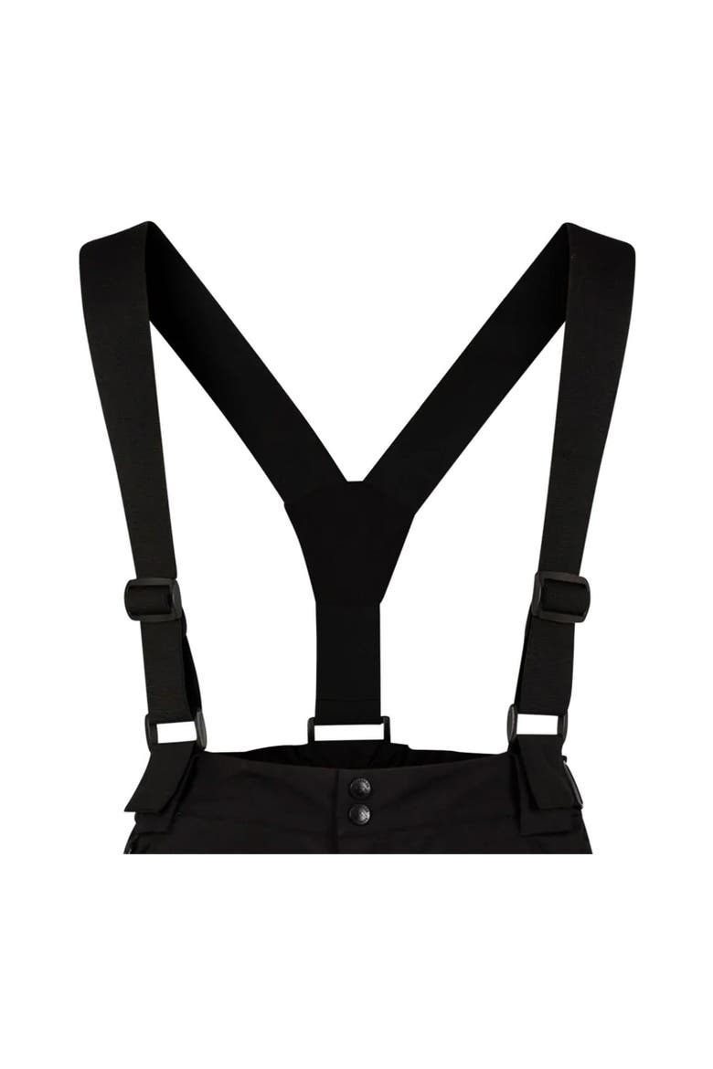 Shaun Ski Trousers, Alternate, color, Black