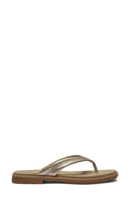 Timberland Calista Bay Flip Flop In Gold