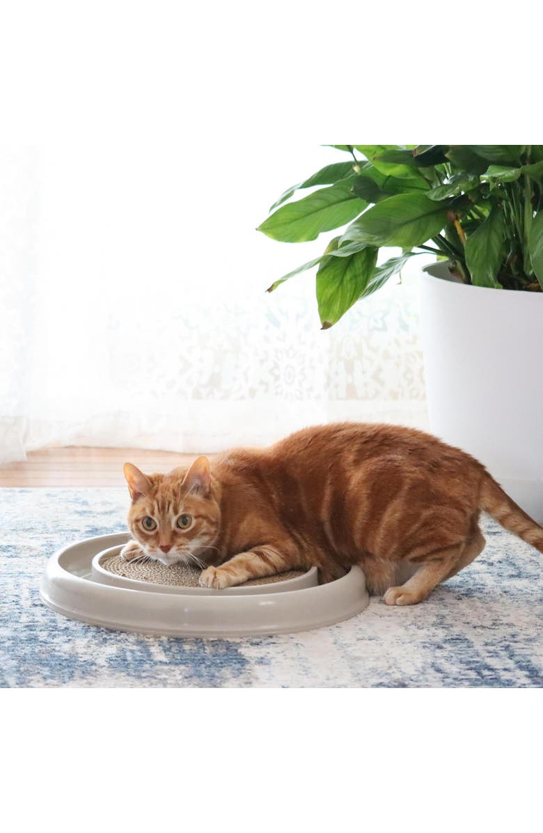 Turbo Scratcher Eco, Grey, Cat Toy & Catnip Pack, 15.5 Inches, Round Racetrack, Alternate, color, Gray