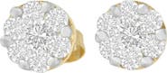 Haus of Brilliance 14K Yellow Gold 3/4 Ct Round Diamond Stud Earring