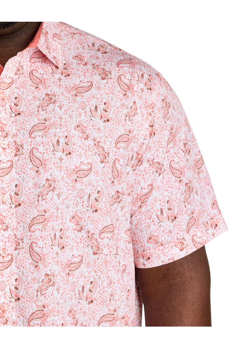 Big & Tall Mixed Paisley Print Sport Shirt, Alternate, color, PINK