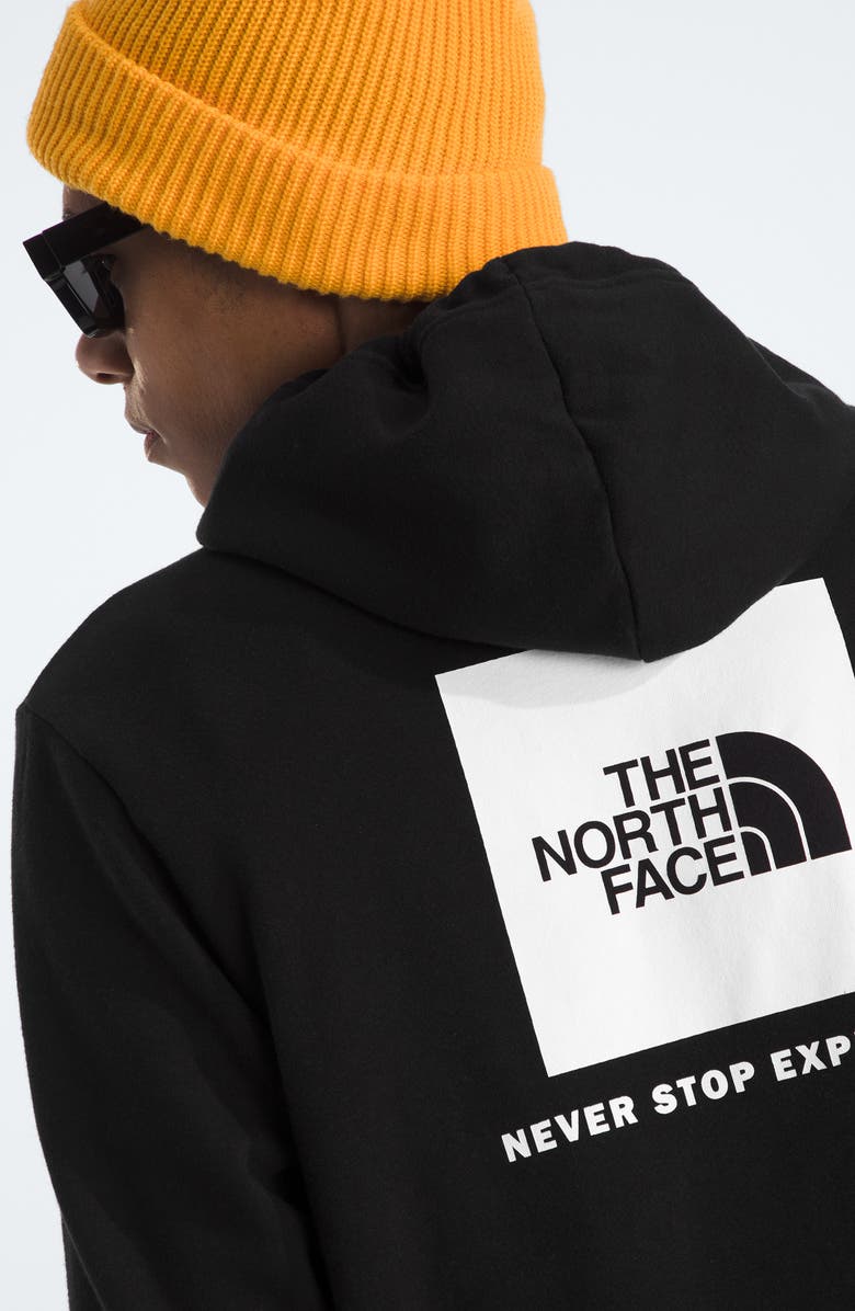 The North Face Evolutionm Box NSE Pullover Hoodie, Alternate, color, 