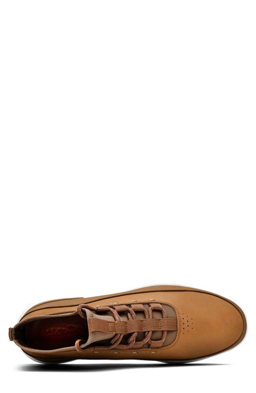 Wolf & Shepherd Crossover™ Mid Sneaker In Multi