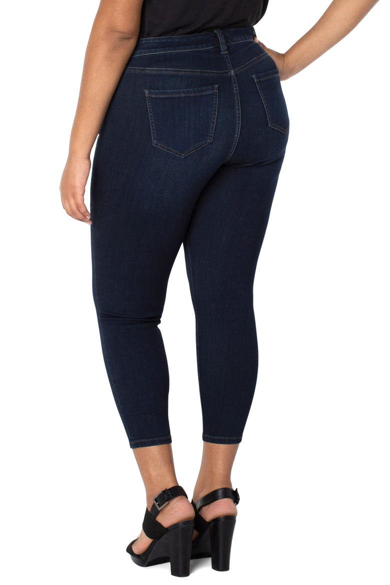 Abby Stretch Ankle Skinny Jeans, Alternate, color, DYNASTY DA
