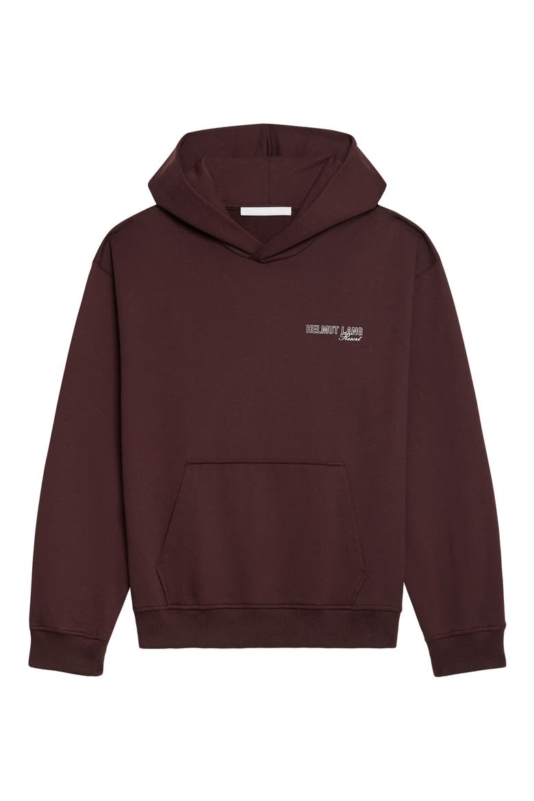 Skier Cotton Hoodie, Alternate, color, MAHOGANY