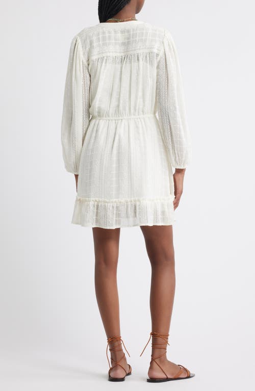 Treasure & Bond Embroidered Sheer Long Sleeve Minidress In White