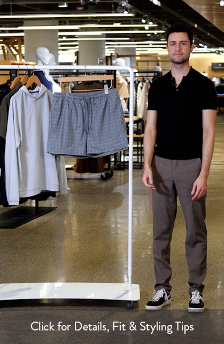 La Brea Iridescent Swim Trunks, sales video thumbnail