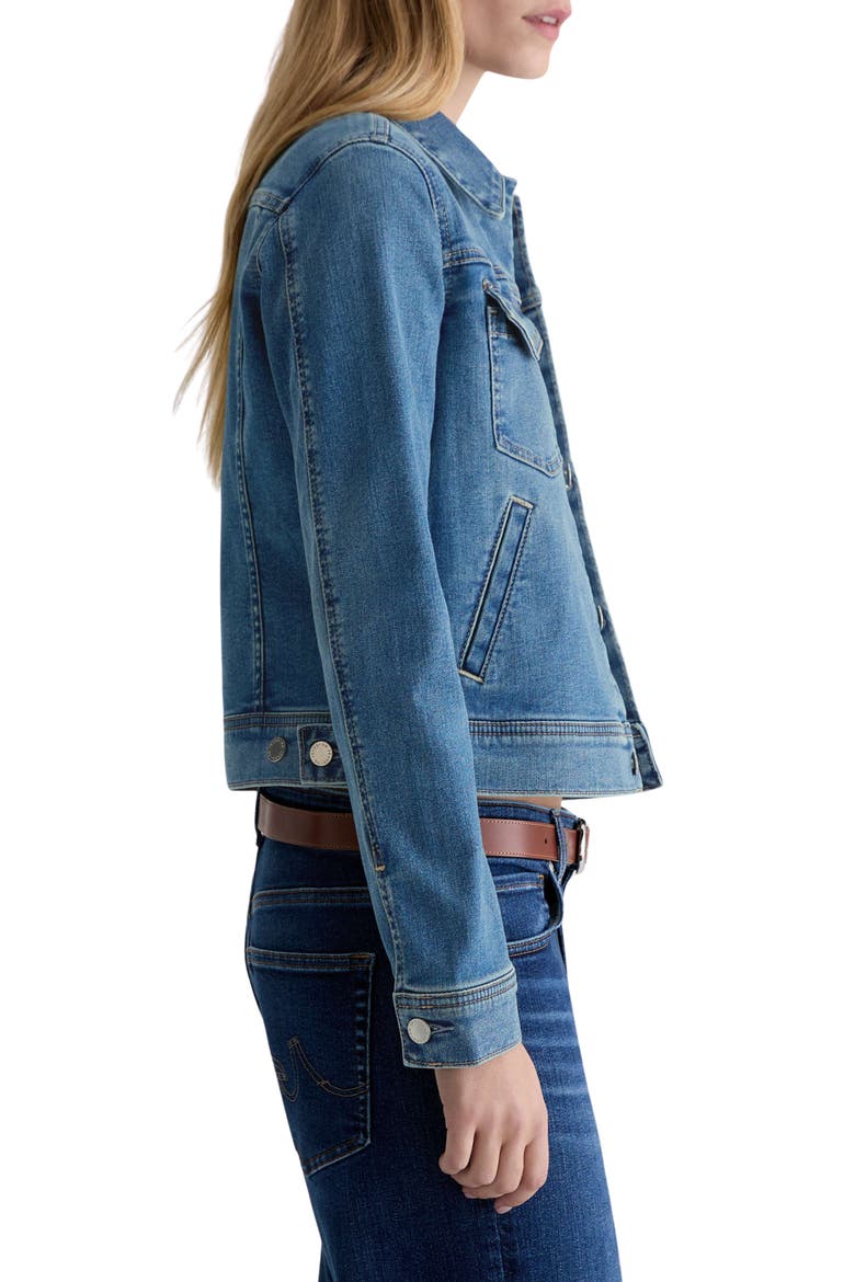 Robyn Crop Stretch Denim Jacket, Alternate, color, CHARMED