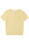  Pastel Yellow