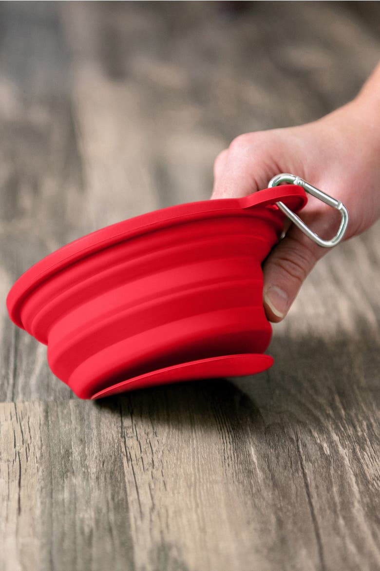 Slow-Feeding, BPA-Free Silicone Travel Dog Bowl, Alternate, color, Ruby Red
