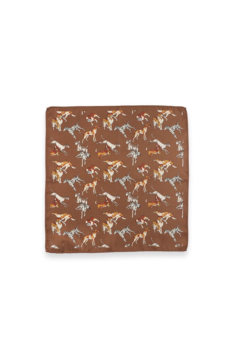 Paul Fredrick Patterned Silk Pocket Square, Alternate, color, Brown Multi