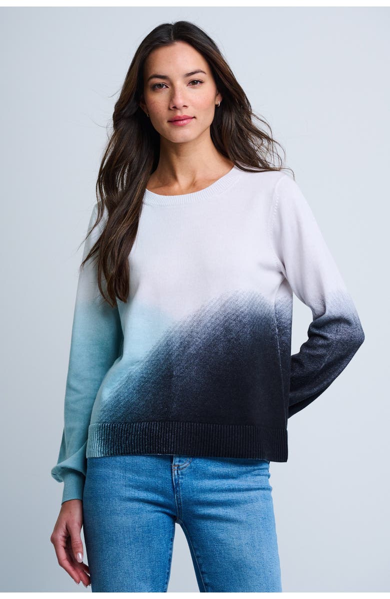 Lisa Todd Color Haze Cotton Sweater, Main, color, Blue Combo